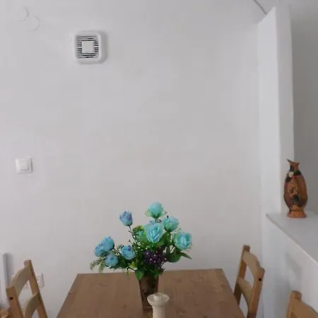 Apartament Summer Holidays Studio