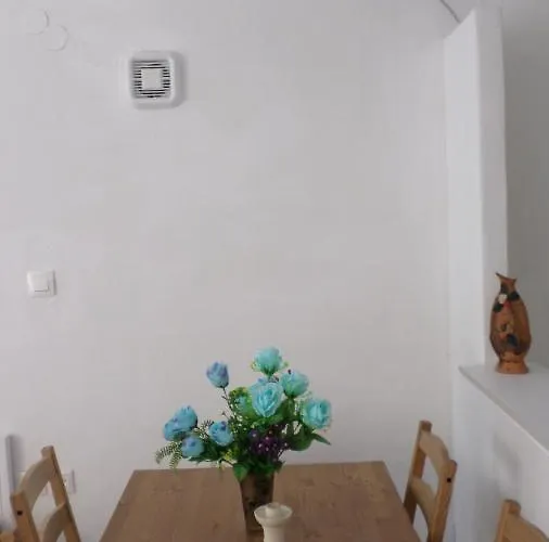 Apartman Summer Holidays Studio